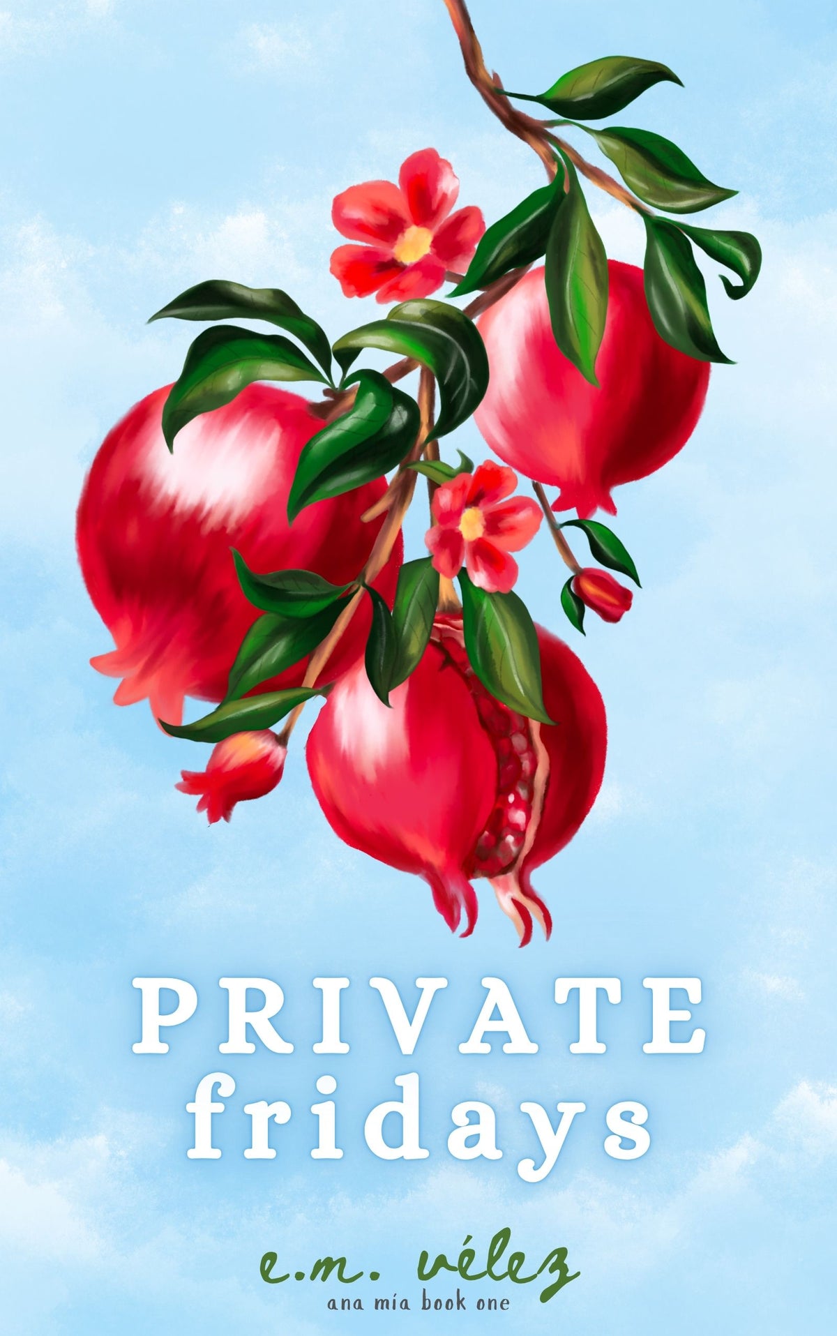 Private Fridays — Ana Mía Book One [EBOOK]